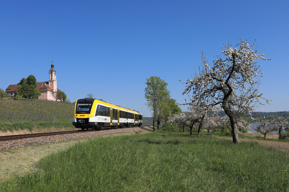 Regionalbahn Friedrichshafen - Radolfzell in einer grünen Landschaft auf den Gleisen. Im Hintergrund sieht man die Wallfahrtskirche Birnau, blauen Himmel sowie frühlingshaft blühende Bäume.