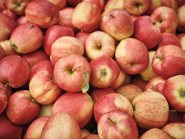 Viele frische Äpfel liegen in einer Kiste und sind in der Nahaufnahme fotografiert.