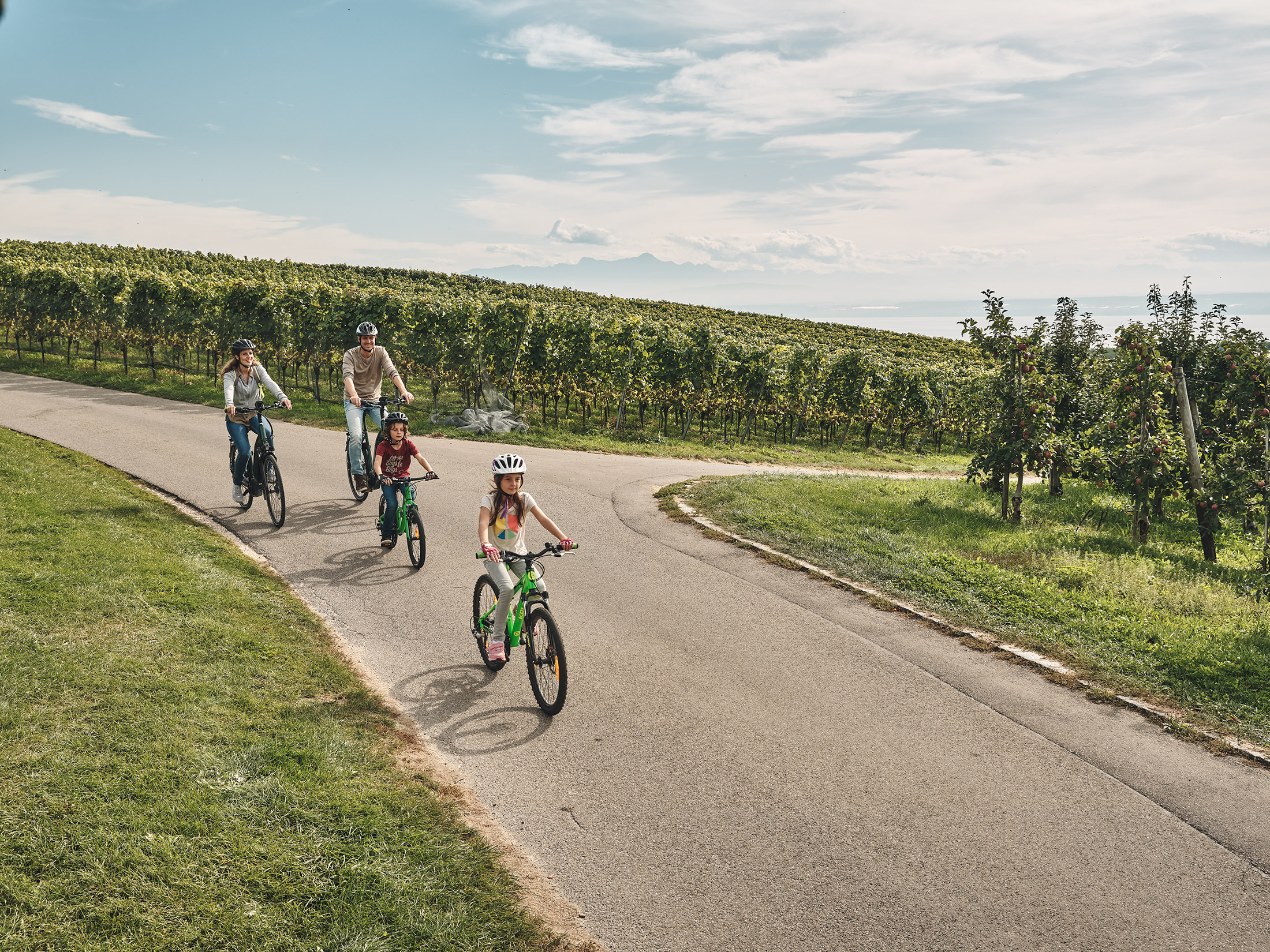 Mutter, Vater und Tochter auf Fahrrädern beim Fahrradfahren in den Weinbergen. 